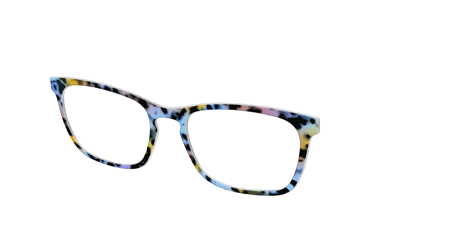 The Positano Tortoise