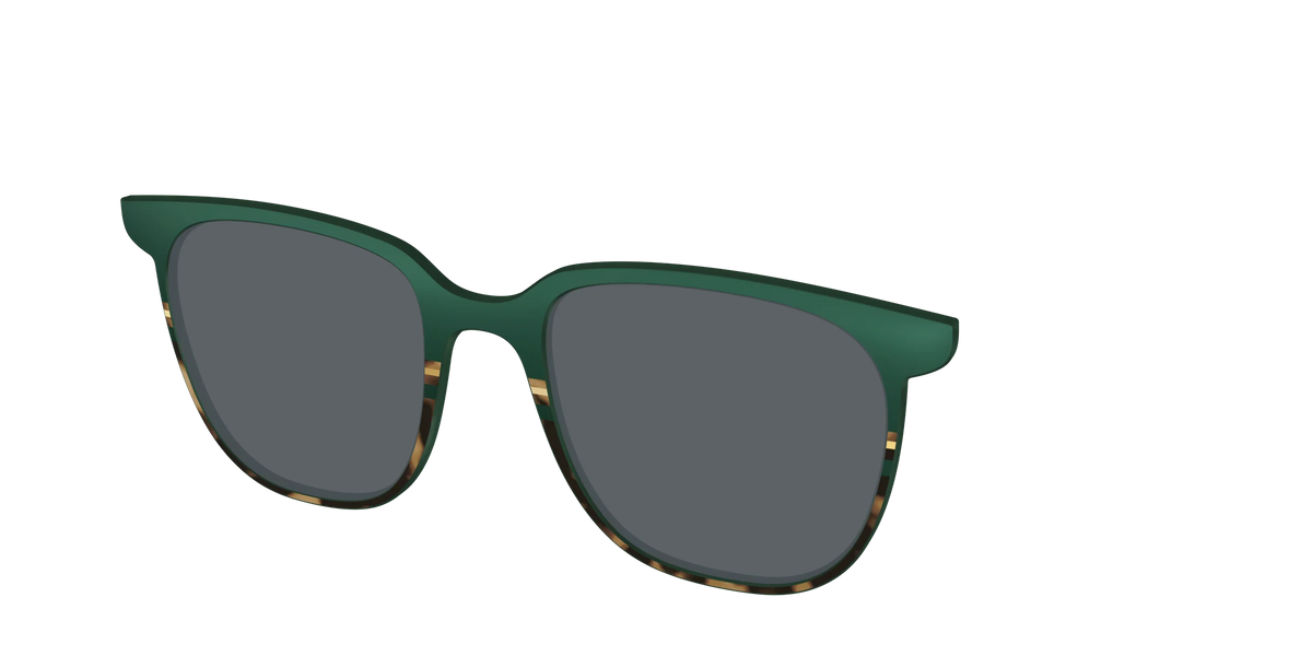The Polarized Spruce Tortoise Sun Top