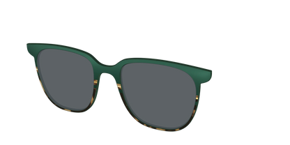 The Polarized Spruce Tortoise Sun Top