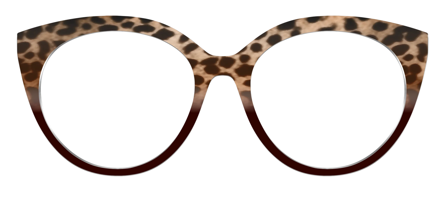 The Jungle Cat Tortoise