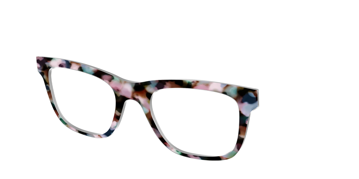 The Midsummer Tortoise