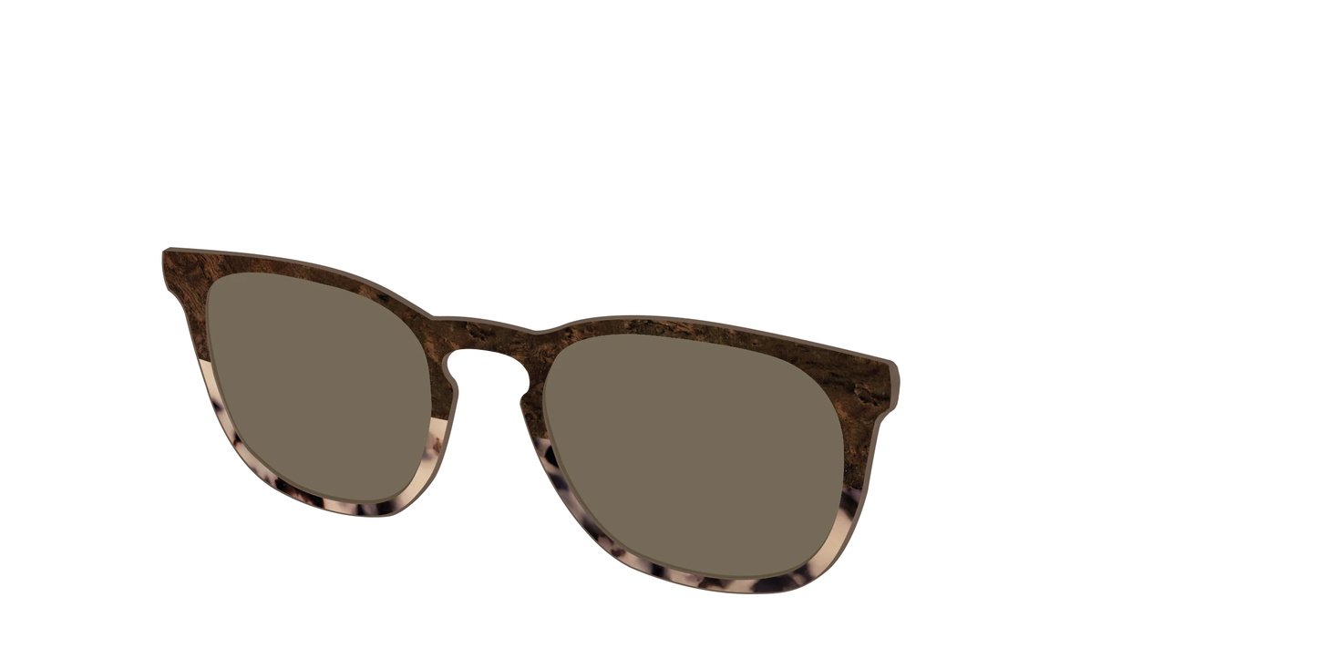 The Polarized Dark Oak Tortoise Split Sun Top