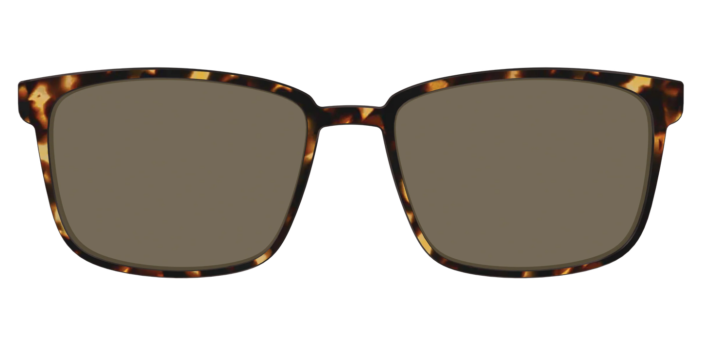 The Polarized Tortoise Sun Top