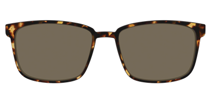 The Polarized Tortoise Sun Top