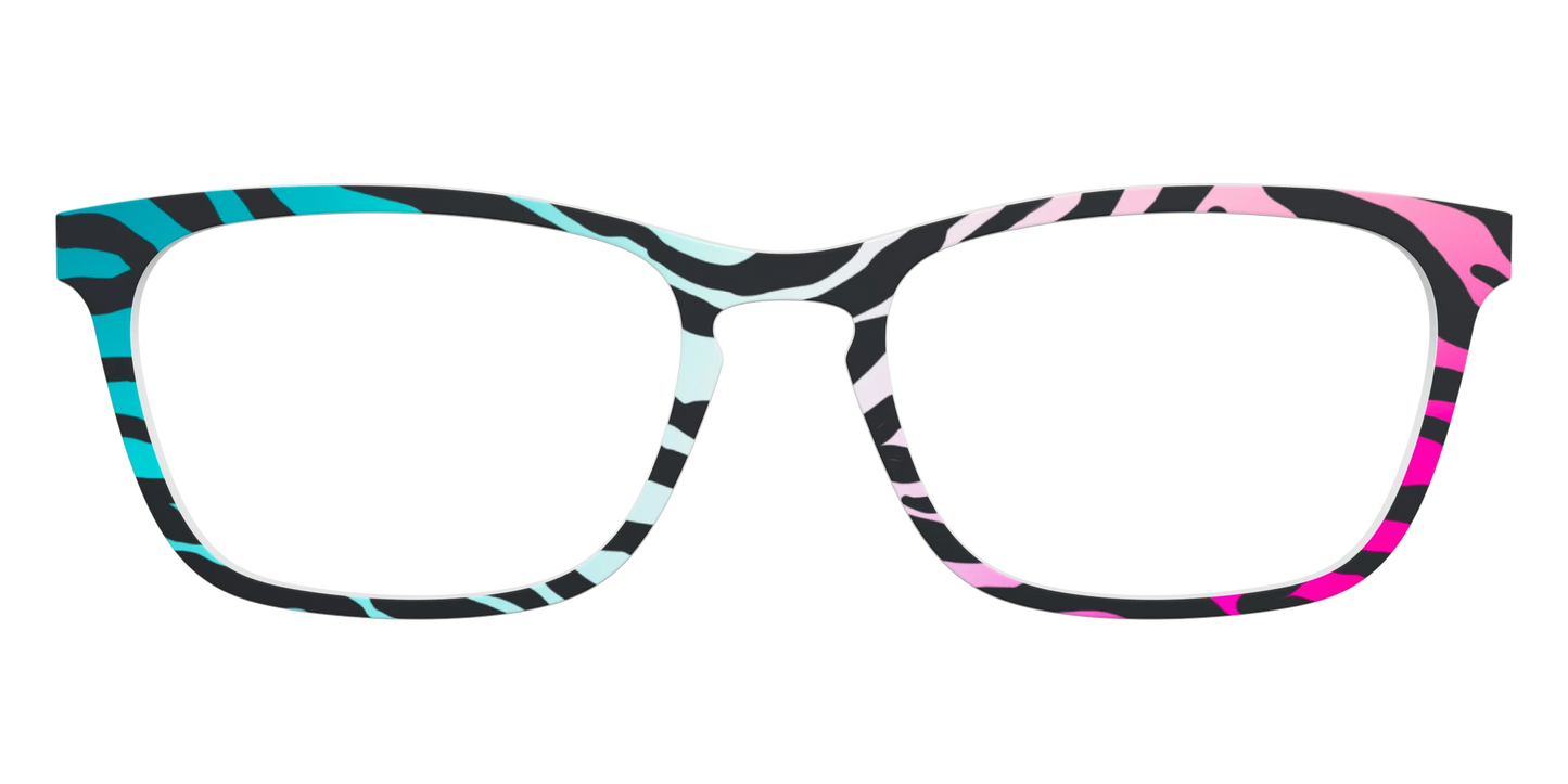 The Rainbow Zebra