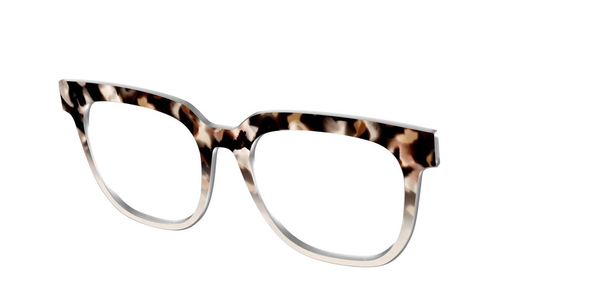 The Vanilla Latte Tortoise