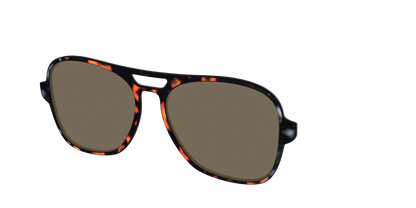The Polarized Gray & Amber Tortoise Sun Top