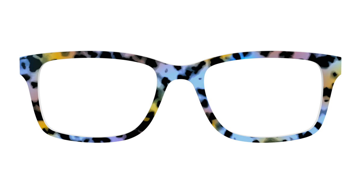 The Positano Tortoise