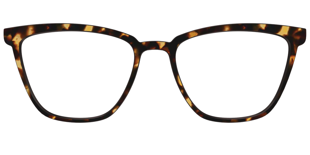 The Tortoise
