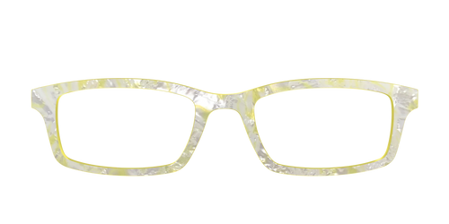 The Buttercup Pearl Tortoise