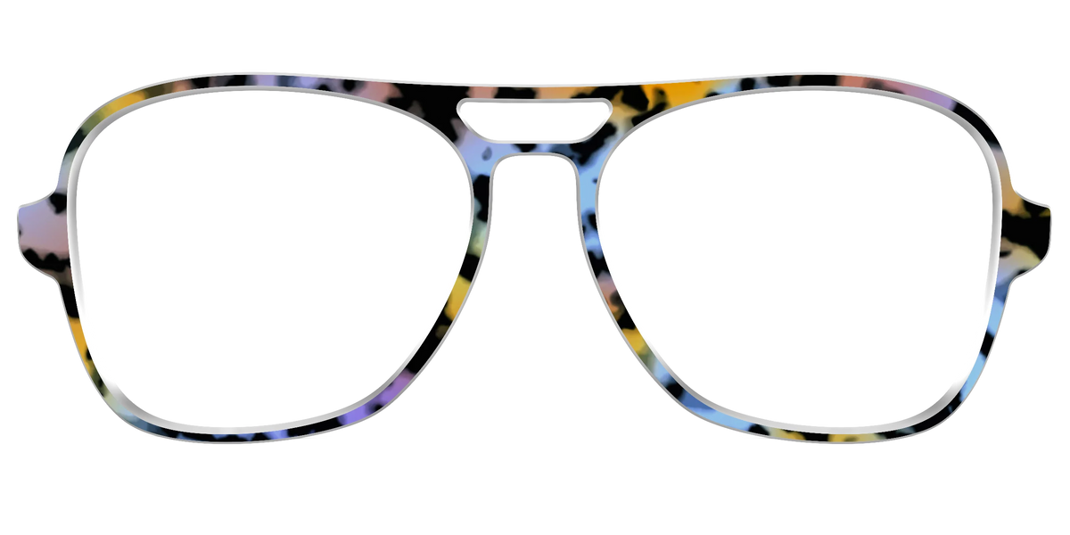 The Positano Tortoise
