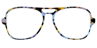 The Positano Tortoise