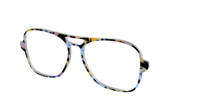 The Positano Tortoise