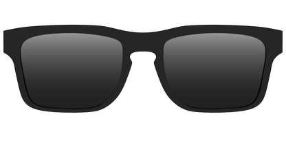 The Polarized Black Sun Top