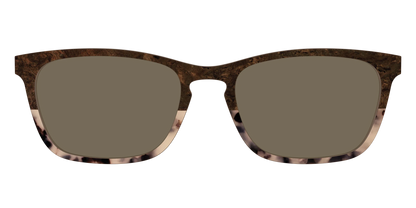 The Polarized Dark Oak Tortoise Split Sun Top