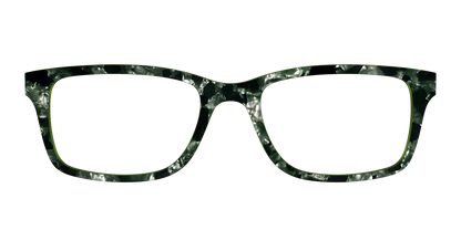 The Olive Pearl Tortoise