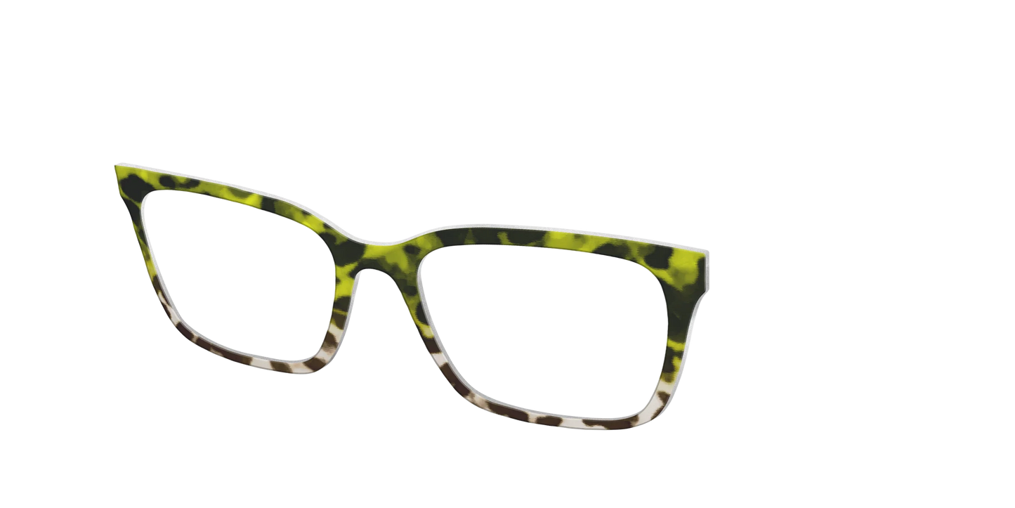 The Avocado to Ivory Tortoise