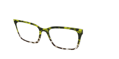 The Avocado to Ivory Tortoise