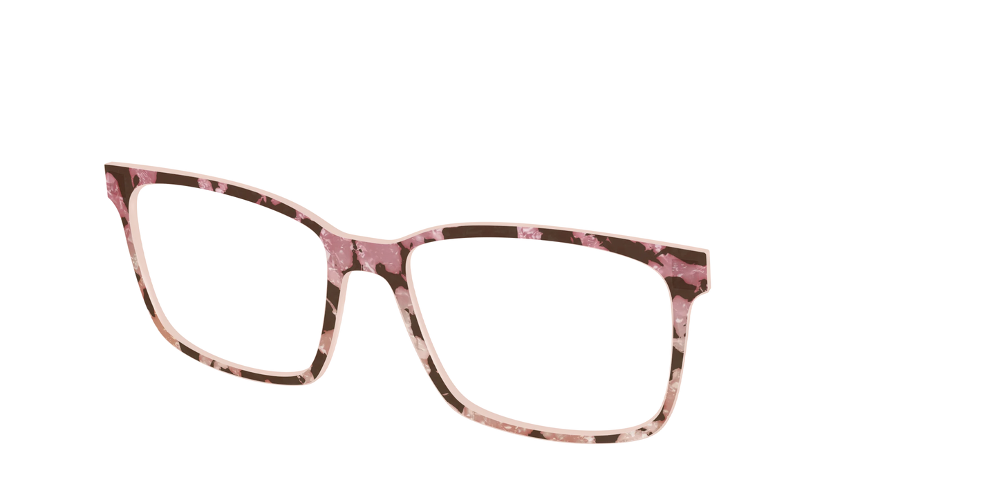 The Pale Peach Pearl Tortoise