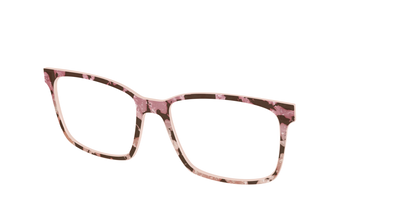 The Pale Peach Pearl Tortoise