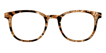 The Caramel Pearl Tortoise