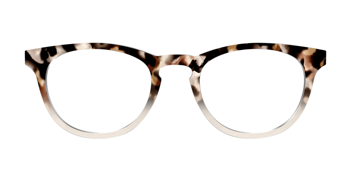 The Vanilla Latte Tortoise
