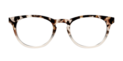 The Vanilla Latte Tortoise