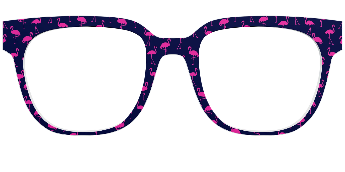 The Navy Flamingos