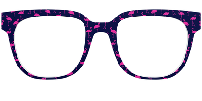 The Navy Flamingos