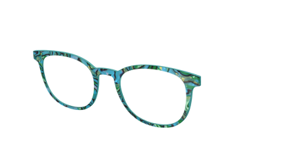 The Teal Turbo Shell