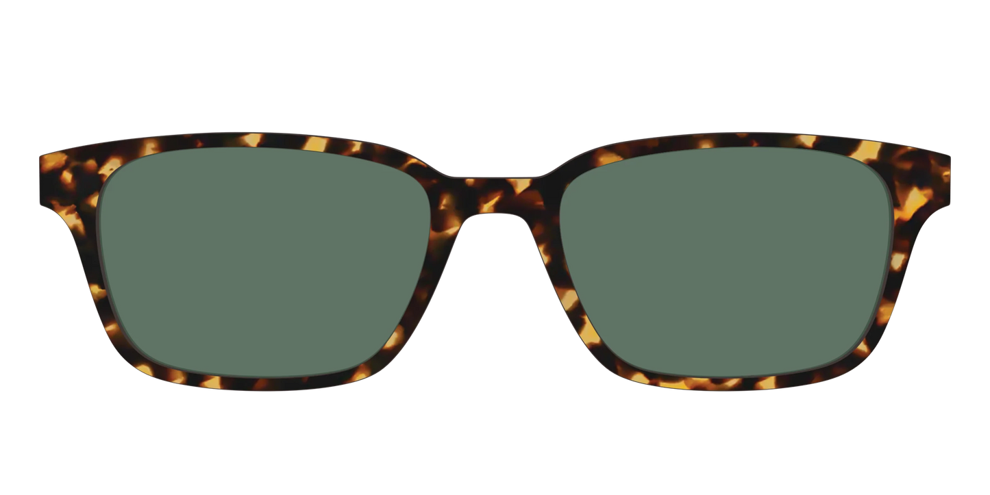 The Non-Polarized Green Tortoise Sun Top