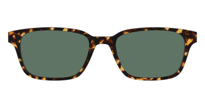 The Non-Polarized Green Tortoise Sun Top