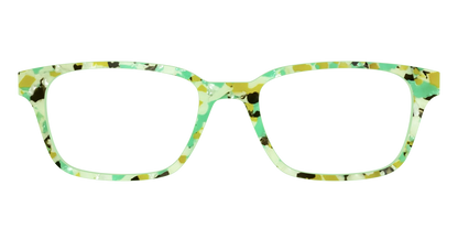 The Matcha Pearl Tortoise