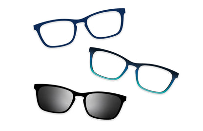 Blue Tortoise - Set