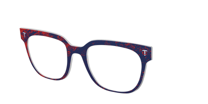 The Twins Home Run