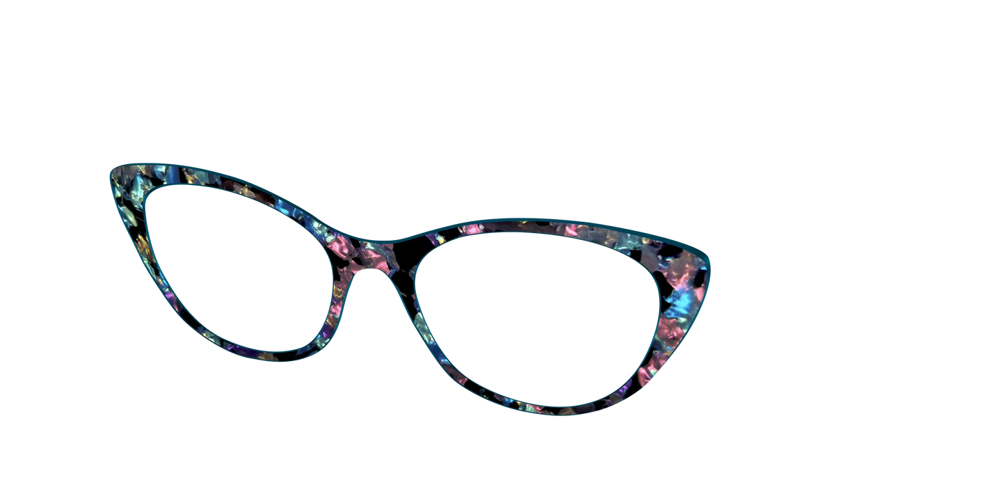 The Black Prismatic Pearl Tortoise