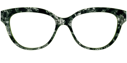 The Olive Pearl Tortoise