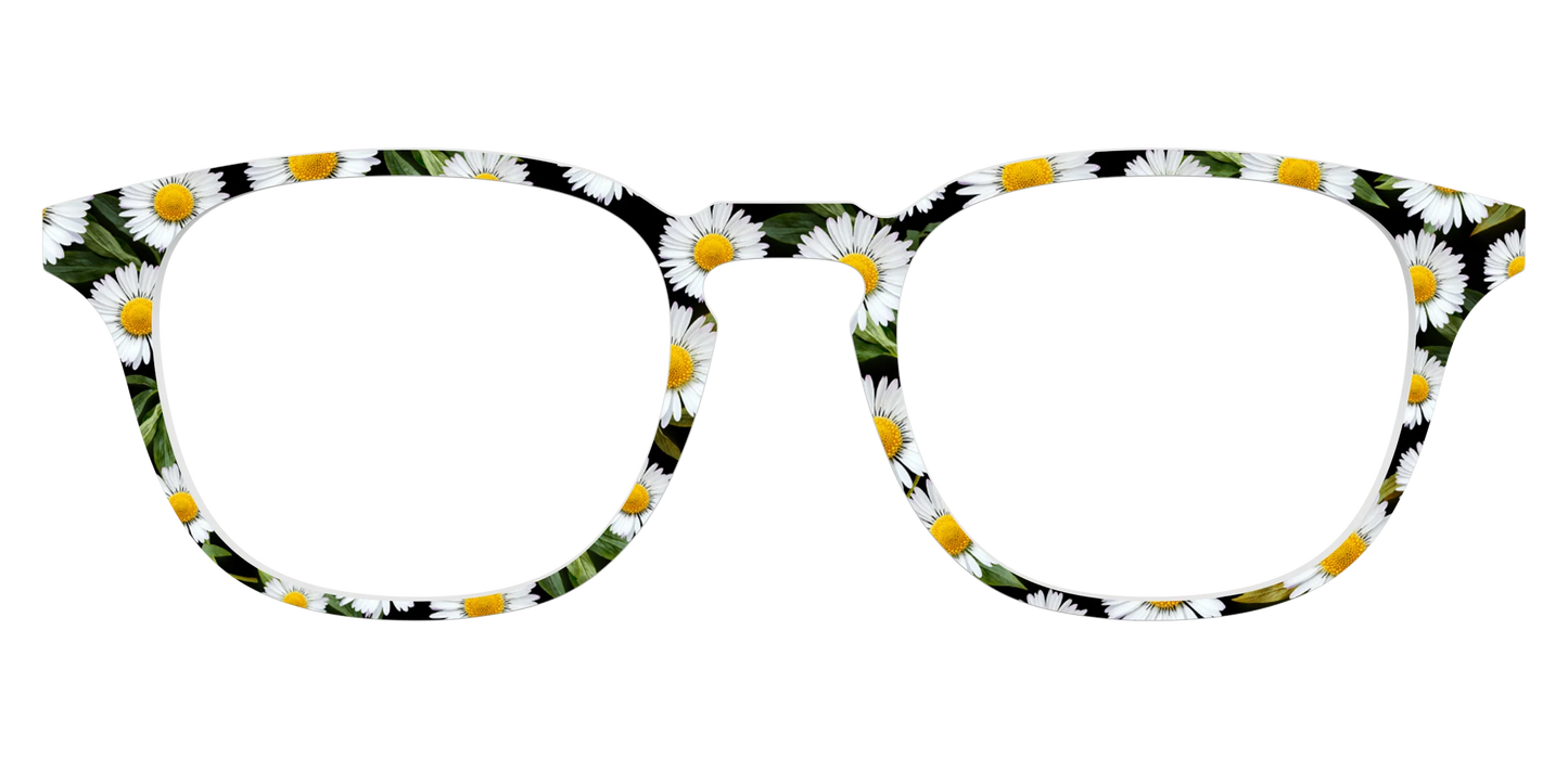 The Delicate Daisies