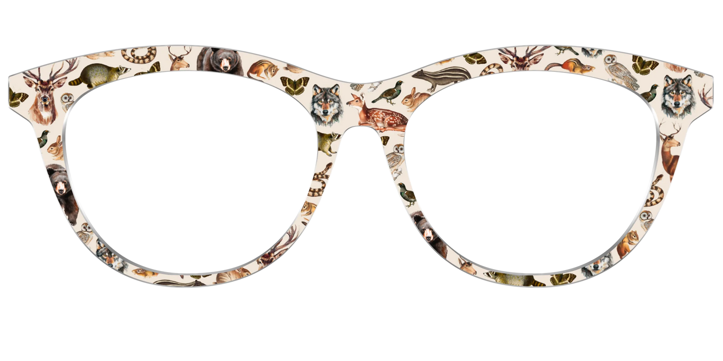 The Wildlife Illustrations