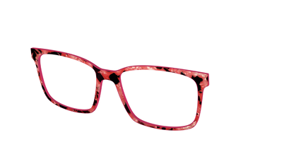 The Red Agate Pearl Tortoise