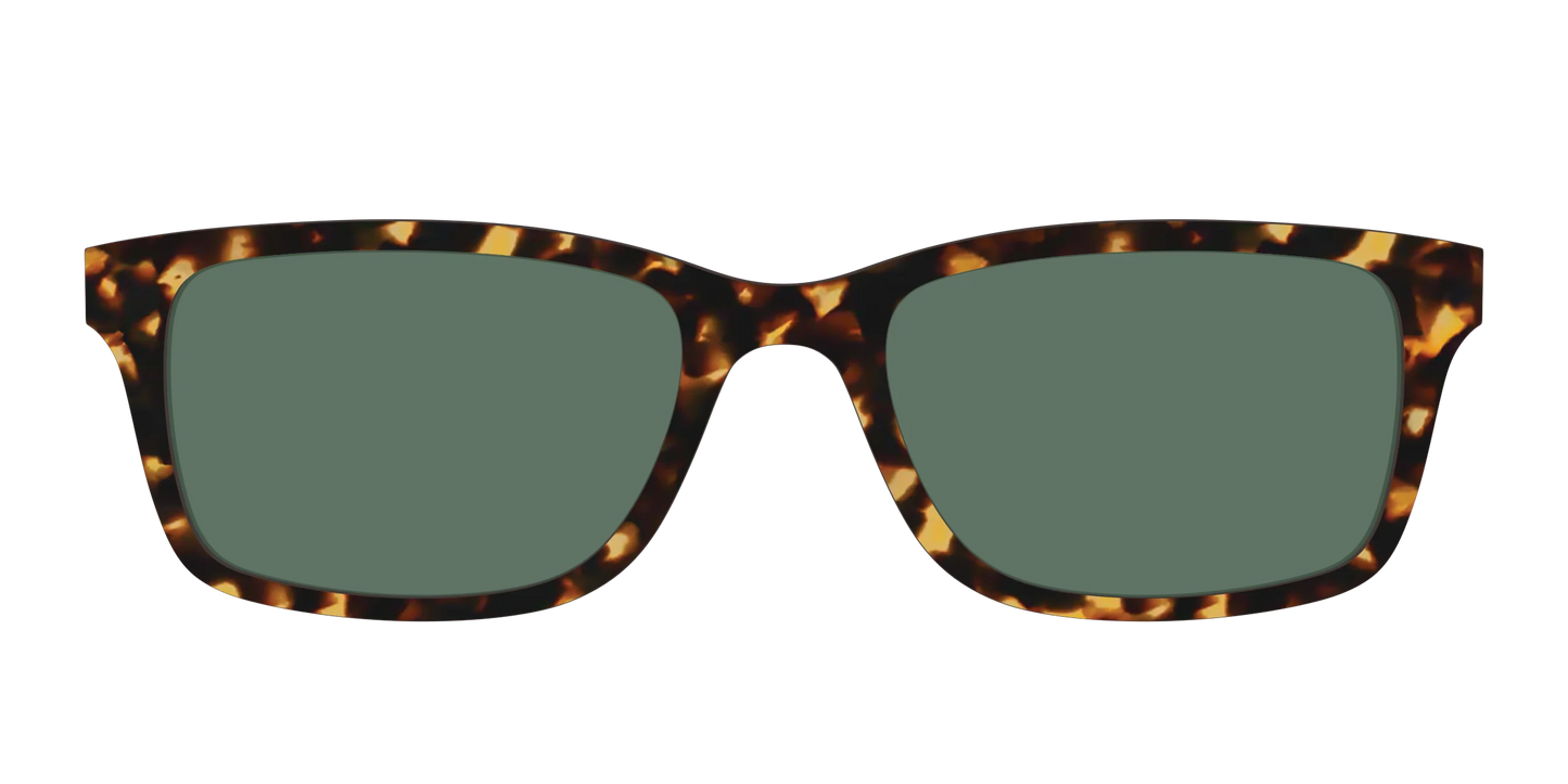 The Non-Polarized Green Tortoise Sun Top