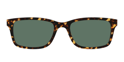The Non-Polarized Green Tortoise Sun Top