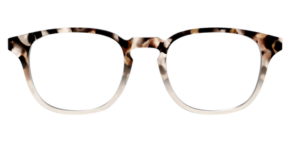 The Vanilla Latte Tortoise