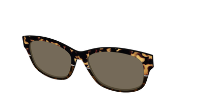 The Polarized Chic Tortoise Split Sun Top
