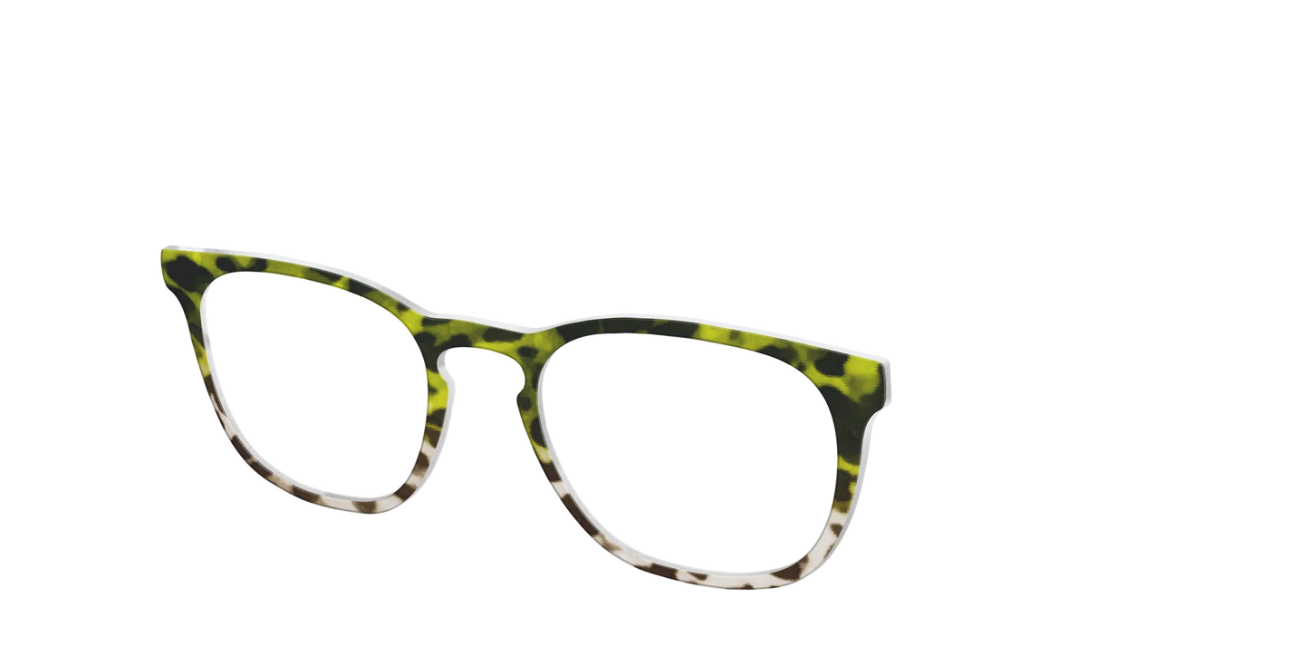 The Avocado to Ivory Tortoise