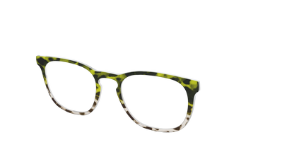 The Avocado to Ivory Tortoise
