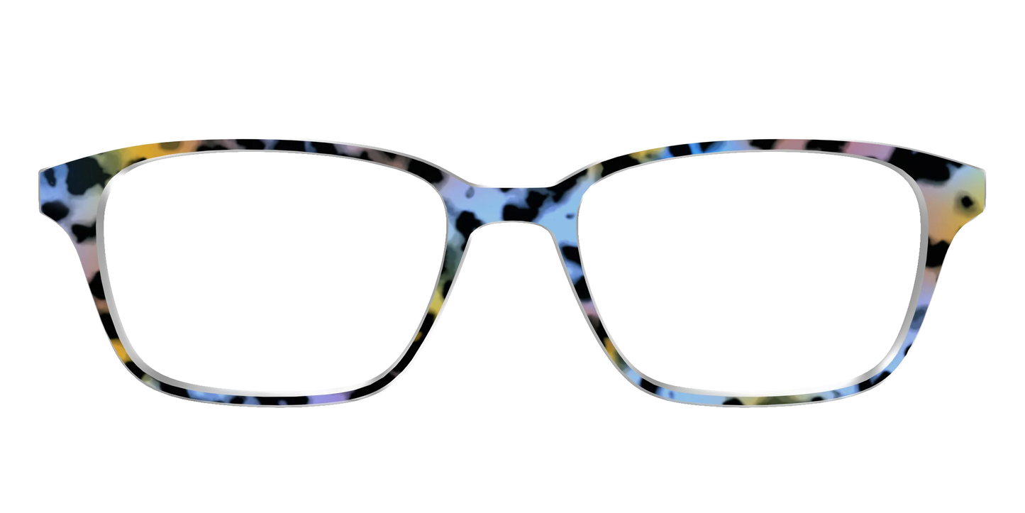 The Positano Tortoise