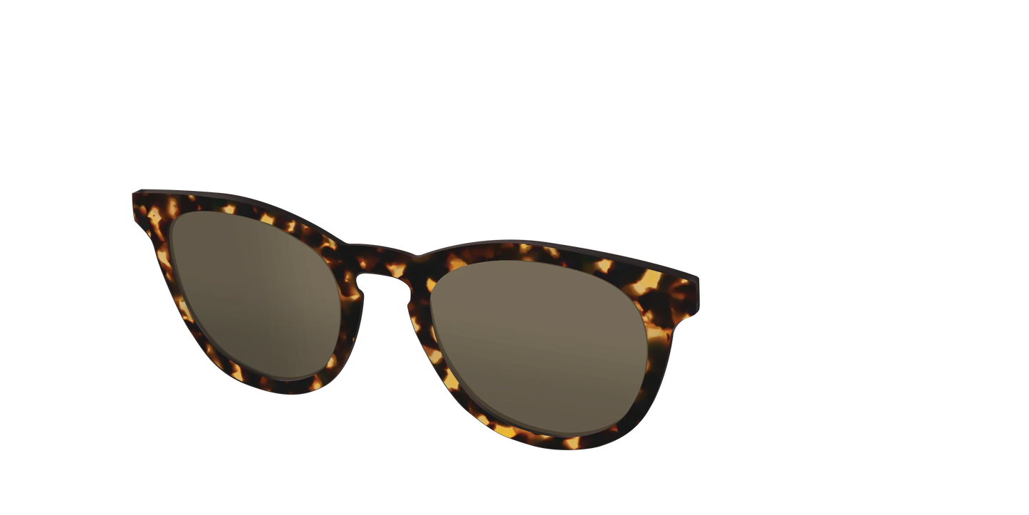 The Non-Polarized Tortoise Sun Top