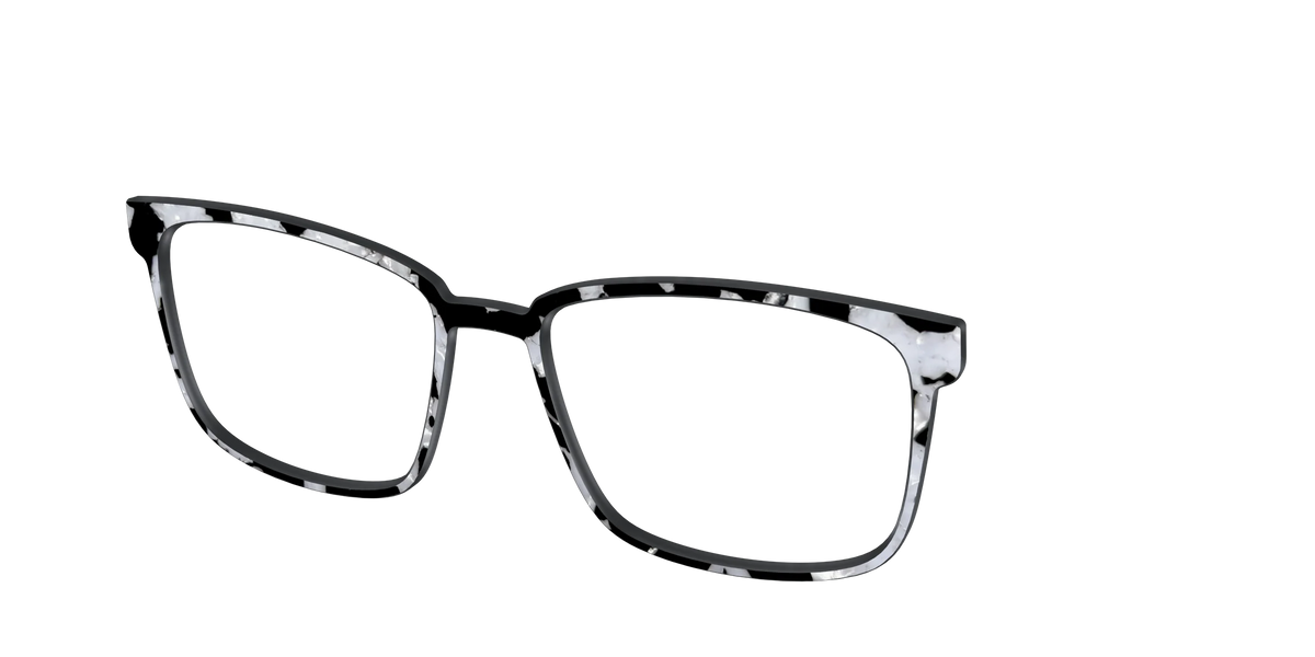 The Black & White Pearl Tortoise