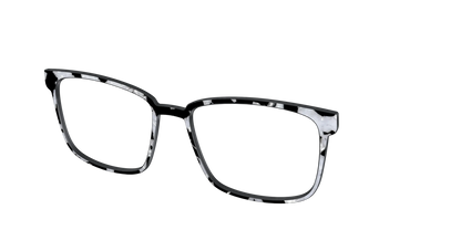 The Black & White Pearl Tortoise
